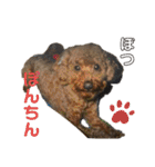 ぽんちんにょにょ（個別スタンプ：19）