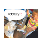 ぽんちんにょにょ（個別スタンプ：31）