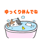 梅雨の時期☆毎日使える☆みけねこスタンプ（個別スタンプ：39）