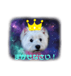 フロレベスタンプ16（個別スタンプ：10）