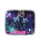 フロレベスタンプ16（個別スタンプ：15）