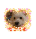 フロレベスタンプ16（個別スタンプ：16）