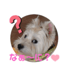 フロレベスタンプ16（個別スタンプ：21）