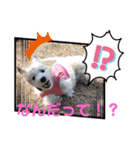 フロレベスタンプ16（個別スタンプ：28）