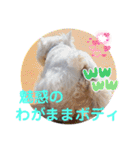 フロレベスタンプ16（個別スタンプ：37）