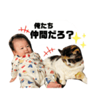 うちの想太くん（個別スタンプ：15）