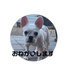 ティセラ（個別スタンプ：1）