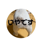 ティセラ（個別スタンプ：3）