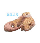 裏スジスタンプ1444（個別スタンプ：2）