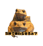 裏スジスタンプ1444（個別スタンプ：6）
