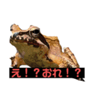 裏スジスタンプ1444（個別スタンプ：22）