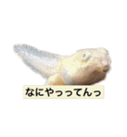 裏スジスタンプ1444（個別スタンプ：37）