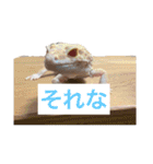 裏スジスタンプ1444（個別スタンプ：39）