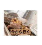 裏スジスタンプ1444（個別スタンプ：40）
