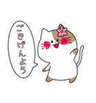 挨拶するねこ！（個別スタンプ：1）