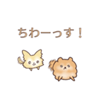 クリームチワワとオレンジポメラニアン（個別スタンプ：1）