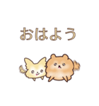 クリームチワワとオレンジポメラニアン（個別スタンプ：2）