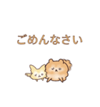 クリームチワワとオレンジポメラニアン（個別スタンプ：5）