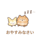 クリームチワワとオレンジポメラニアン（個別スタンプ：12）