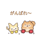 クリームチワワとオレンジポメラニアン（個別スタンプ：13）