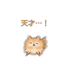 クリームチワワとオレンジポメラニアン（個別スタンプ：14）