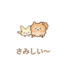 クリームチワワとオレンジポメラニアン（個別スタンプ：16）