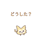 クリームチワワとオレンジポメラニアン（個別スタンプ：19）