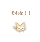クリームチワワとオレンジポメラニアン（個別スタンプ：24）