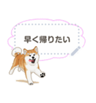 秋田犬（赤毛）日本語 2/2（個別スタンプ：4）