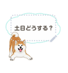 秋田犬（赤毛）日本語 2/2（個別スタンプ：5）