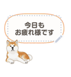 秋田犬（赤毛）日本語 2/2（個別スタンプ：7）