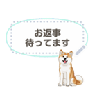 秋田犬（赤毛）日本語 2/2（個別スタンプ：8）