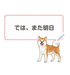 秋田犬（赤毛）日本語 2/2（個別スタンプ：9）