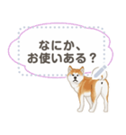 秋田犬（赤毛）日本語 2/2（個別スタンプ：10）