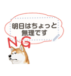 秋田犬（赤毛）日本語 2/2（個別スタンプ：12）