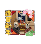 こたちよスタンプの巻1（個別スタンプ：1）
