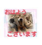 こたちよスタンプの巻1（個別スタンプ：7）