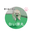 こぼたんまん（個別スタンプ：4）