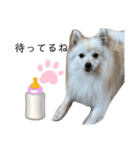 こぼたんまん（個別スタンプ：7）