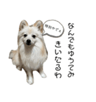 こぼたんまん（個別スタンプ：12）