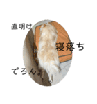 こぼたんまん（個別スタンプ：14）