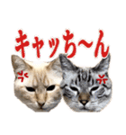 NKEぬこ’s 3rd（個別スタンプ：4）