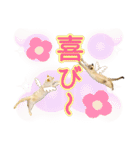 NKEぬこ’s 3rd（個別スタンプ：32）