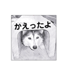 animalイラスト白黒ひらがな（個別スタンプ：1）