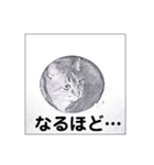 animalイラスト白黒ひらがな（個別スタンプ：11）