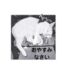 animalイラスト白黒ひらがな（個別スタンプ：16）