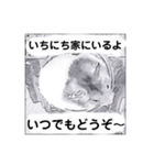 animalイラスト白黒ひらがな（個別スタンプ：34）