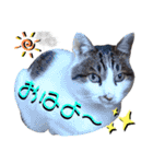 ねねこ♥⑱ みにくん＆ちびちゃん編（個別スタンプ：2）