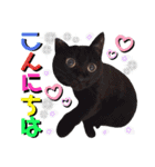 ねねこ♥⑱ みにくん＆ちびちゃん編（個別スタンプ：4）