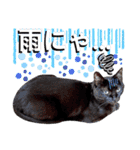 ねねこ♥⑱ みにくん＆ちびちゃん編（個別スタンプ：5）